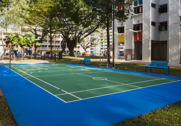 Multipurpose court amenity