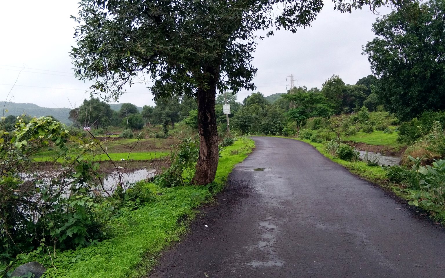 Ekma City Ekma Chapra land project