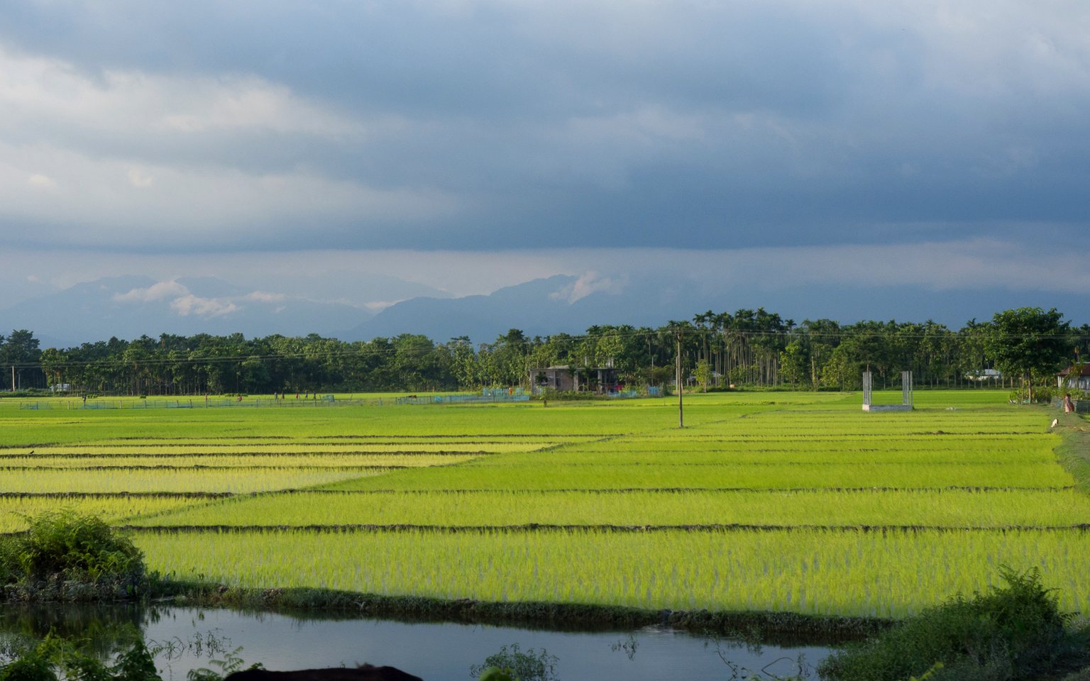 Blossom Valley Rajgir planned plot project